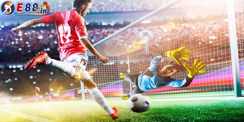Cách chơi cá độ bóng đá online hiệu quả cho người mới